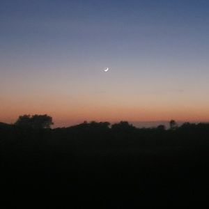 Meet your Posher, Gavin